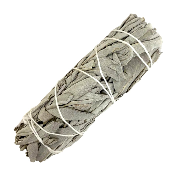 White Sage Smudge - Bundle 6" - Tiny Tim SkincareWhite Sage Smudge - Bundle 6"healthDC - OMSutraTiny Tim SkincareDC-186778White Sage Smudge - Bundle 6"