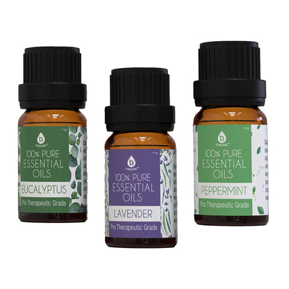 3 pack of 100% Pure Essential Oils (Eucalyptus, Lavender &amp; Peppermint) - Tiny Tim Skincare3 pack of 100% Pure Essential Oils (Eucalyptus, Lavender &amp; Peppermint)DC - PURSONICTiny Tim SkincareDC-28764373 pack of 100% Pure Essential Oils (Eucalyptus, Lavender &amp; Peppermint)