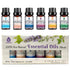 6 Pack of 100% Pure Essential Aromatherapy Oils Blends - Tiny Tim Skincare6 Pack of 100% Pure Essential Aromatherapy Oils BlendsDC - PURSONICTiny Tim SkincareDC-28762566 Pack of 100% Pure Essential Aromatherapy Oils Blends