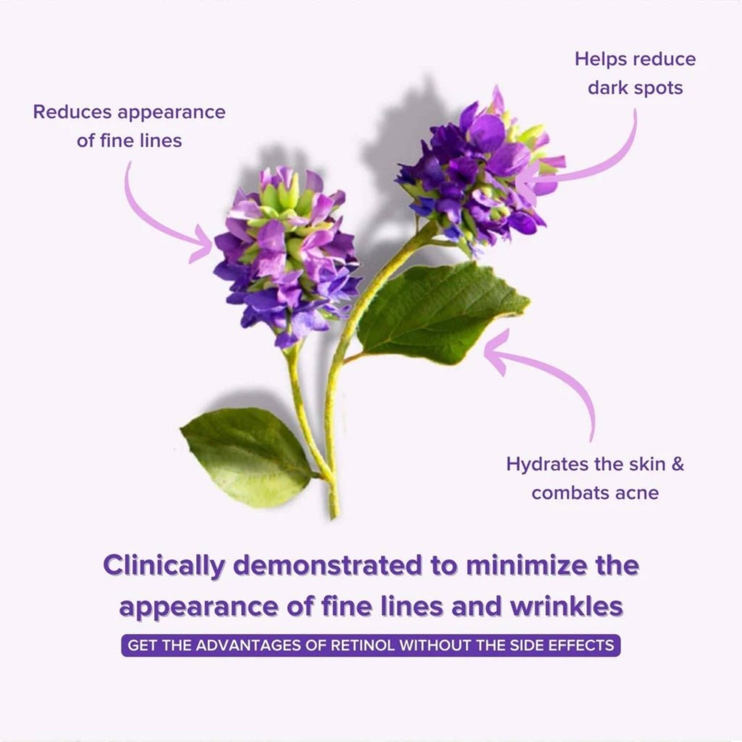Anti - Aging Bakuchiol Serum - Retinol Alternative - Tiny Tim SkincareAnti - Aging Bakuchiol Serum - Retinol AlternativeDC - aniise natural skin careTiny Tim SkincareDC-1864589Anti - Aging Bakuchiol Serum - Retinol Alternative