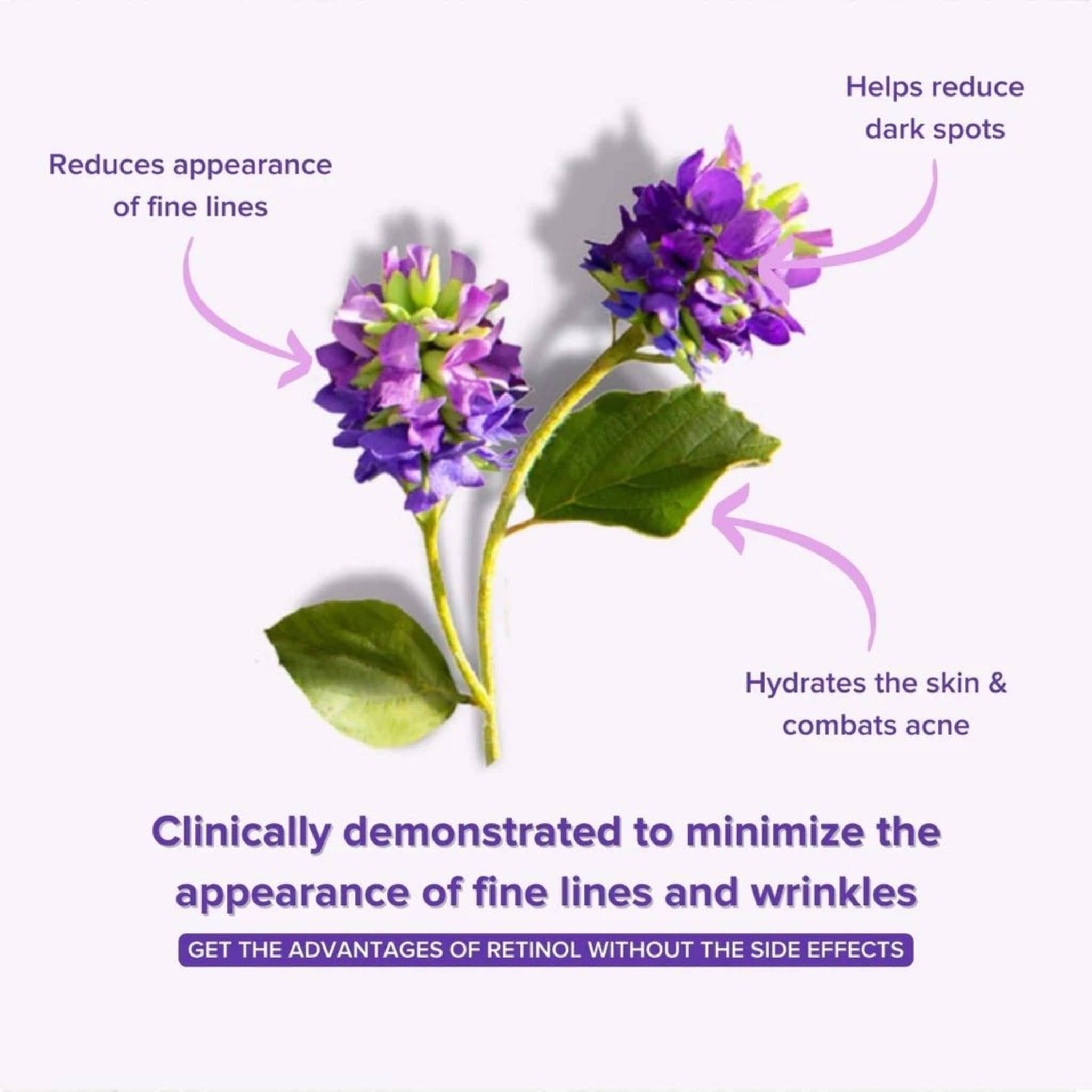 Anti - Aging Bakuchiol Serum - Retinol Alternative - Tiny Tim SkincareAnti - Aging Bakuchiol Serum - Retinol AlternativeDC - aniise natural skin careTiny Tim SkincareDC-1864589Anti - Aging Bakuchiol Serum - Retinol Alternative