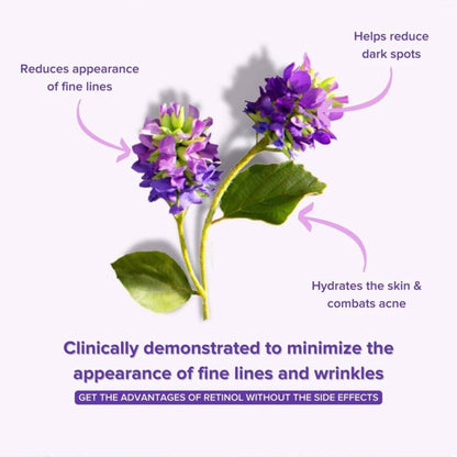 Anti - Aging Bakuchiol Serum - Retinol Alternative - Tiny Tim SkincareAnti - Aging Bakuchiol Serum - Retinol AlternativeDC - aniise natural skin careTiny Tim SkincareDC-1864589Anti - Aging Bakuchiol Serum - Retinol Alternative