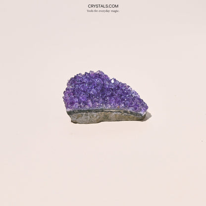 Brazilian Amethyst Cluster - Tiny Tim SkincareBrazilian Amethyst ClusterClusterCRYSTALS.COMTiny Tim Skincare70-120-amethyst-MDCRYSTALS.COMMD - 2 - 2.5 InchBrazilian Amethyst Cluster