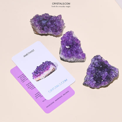 Brazilian Amethyst Cluster - Tiny Tim SkincareBrazilian Amethyst ClusterClusterCRYSTALS.COMTiny Tim Skincare70-120-amethyst-MDCRYSTALS.COMMD - 2 - 2.5 InchBrazilian Amethyst Cluster