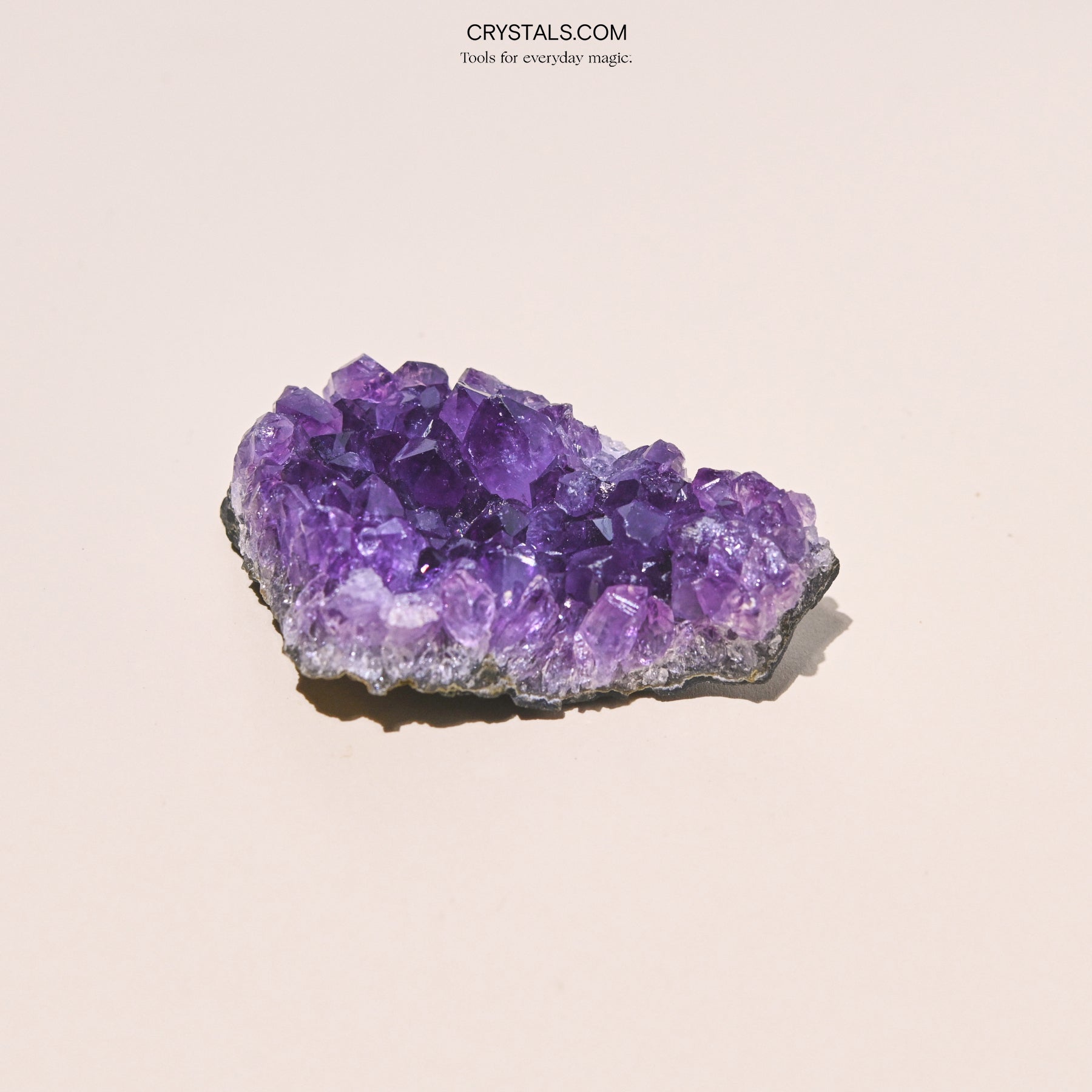 Brazilian Amethyst Cluster - Tiny Tim SkincareBrazilian Amethyst ClusterClusterCRYSTALS.COMTiny Tim Skincare70-120-amethyst-MDCRYSTALS.COMMD - 2 - 2.5 InchBrazilian Amethyst Cluster