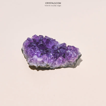 Brazilian Amethyst Cluster - Tiny Tim SkincareBrazilian Amethyst ClusterClusterCRYSTALS.COMTiny Tim Skincare70-120-amethyst-MDCRYSTALS.COMMD - 2 - 2.5 InchBrazilian Amethyst Cluster