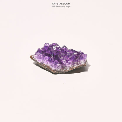 Brazilian Amethyst Cluster - Tiny Tim SkincareBrazilian Amethyst ClusterClusterCRYSTALS.COMTiny Tim Skincare70-120-amethyst-MDCRYSTALS.COMMD - 2 - 2.5 InchBrazilian Amethyst Cluster