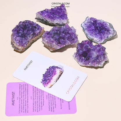 Brazilian Amethyst Cluster - Tiny Tim SkincareBrazilian Amethyst ClusterClusterCRYSTALS.COMTiny Tim Skincare70-120-amethyst-MDCRYSTALS.COMMD - 2 - 2.5 InchBrazilian Amethyst Cluster