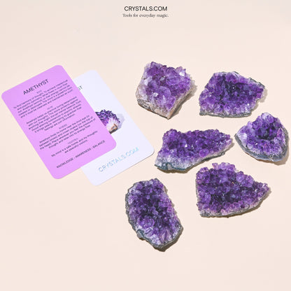 Brazilian Amethyst Cluster - Tiny Tim SkincareBrazilian Amethyst ClusterClusterCRYSTALS.COMTiny Tim Skincare70-120-amethyst-MDCRYSTALS.COMMD - 2 - 2.5 InchBrazilian Amethyst Cluster