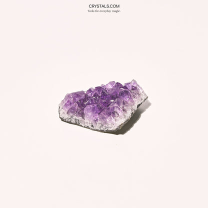 Brazilian Amethyst Cluster - Tiny Tim SkincareBrazilian Amethyst ClusterClusterCRYSTALS.COMTiny Tim Skincare70-120-amethyst-MDCRYSTALS.COMMD - 2 - 2.5 InchBrazilian Amethyst Cluster