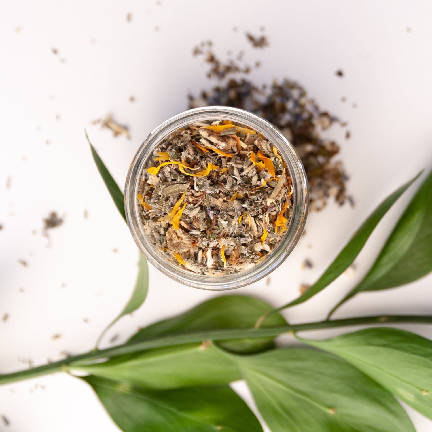 Herbal Facial Steam - Tiny Tim SkincareHerbal Facial SteamDC - Slow NorthTiny Tim SkincareDC-2776394Herbal Facial Steam