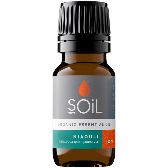 Organic Niaouli Essential Oil (Melaleuca QuinQuenervia) 10ml - Tiny Tim SkincareOrganic Niaouli Essential Oil (Melaleuca QuinQuenervia) 10mlDC - SOiL OrganicsTiny Tim SkincareDC-194561Organic Niaouli Essential Oil (Melaleuca QuinQuenervia) 10ml