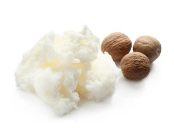 Organic Shea Body Butter No Fragrance 8 &amp; 2 oz. Tubs - Tiny Tim SkincareOrganic Shea Body Butter No Fragrance 8 &amp; 2 oz. TubsBody ButterOnyx Skin Care LineTiny Tim Skincare655255098687655255098687Shea 8 oz jarOrganic Shea Body Butter No Fragrance 8 &amp; 2 oz. Tubs