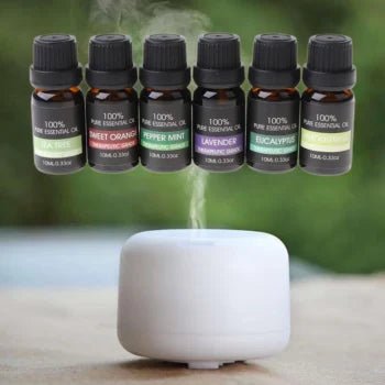 Therapeutic Grade 100% Pure Essential Oil Set of 6 - Tiny Tim SkincareTherapeutic Grade 100% Pure Essential Oil Set of 6DC - THE CEOTiny Tim SkincareDC-2353347Therapeutic Grade 100% Pure Essential Oil Set of 6